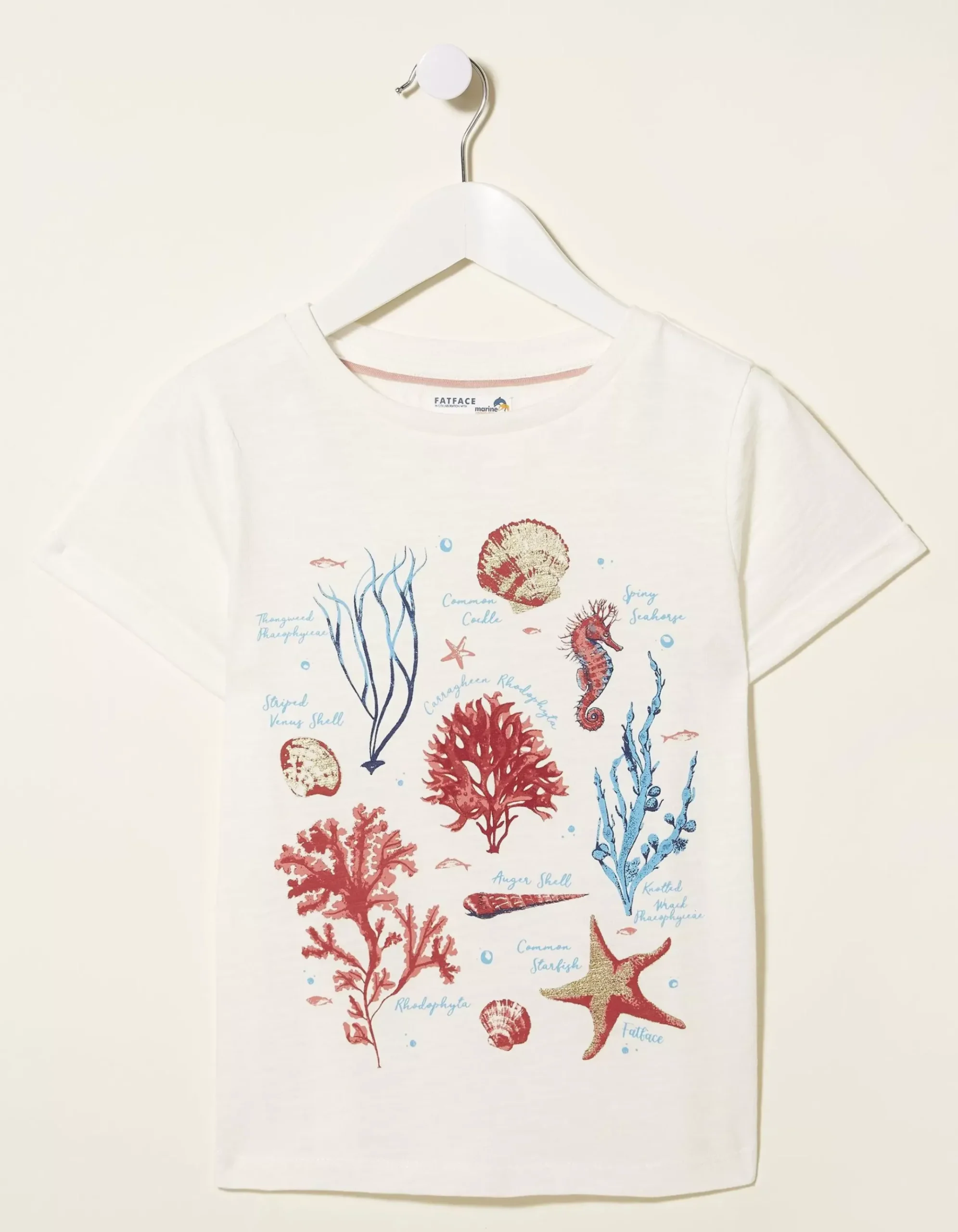 Marine Conservation Society Sealife Graphic T-Shirt