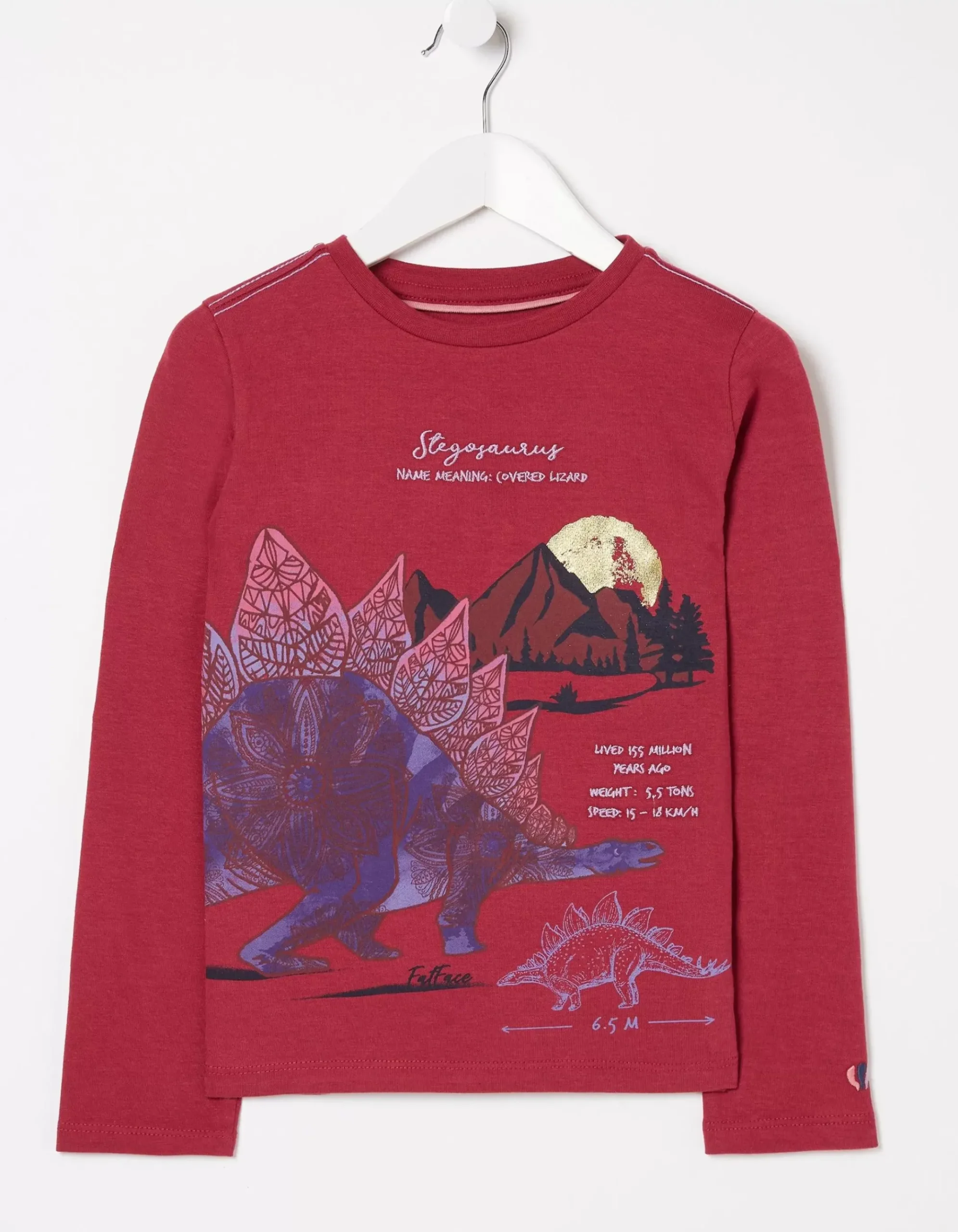 Stegosaurus Graphic T Shirt